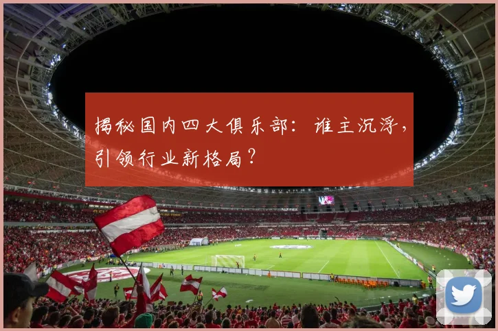 揭秘国内四大俱乐部:谁主沉浮,引领行业新格局?