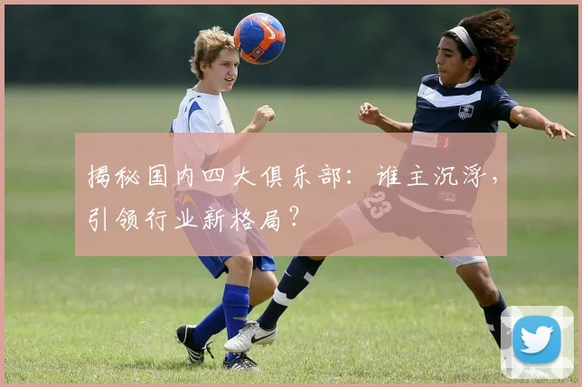 揭秘国内四大俱乐部：谁主沉浮，引领行业新格局？